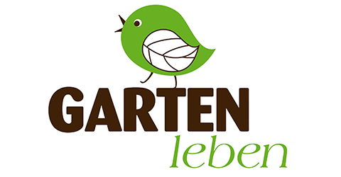 

.text-container {
            border: 4px...