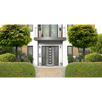 Kugel-Ahorn Globosum Stammhöhe 220cm | 8-10cm Stammumfang im Topf