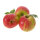 Apfel Gravensteiner Halbstamm