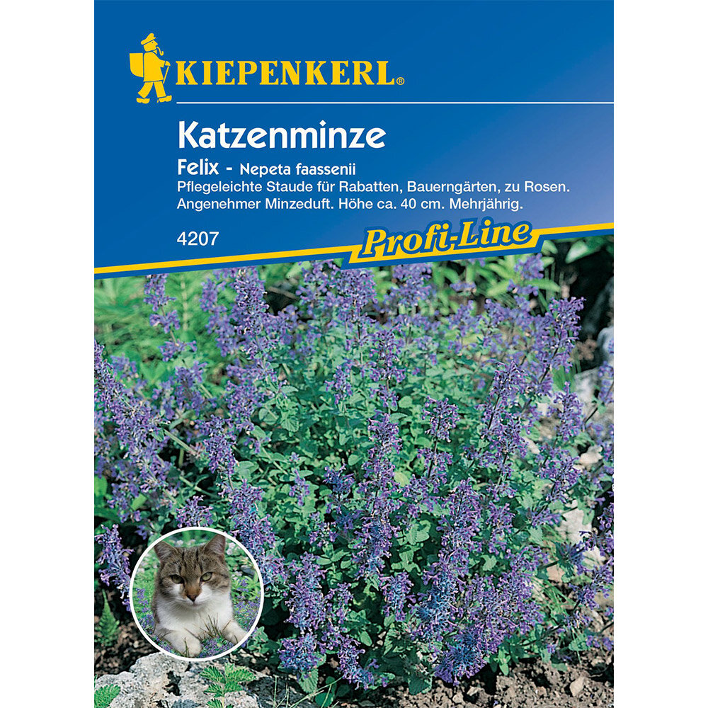 Katzenminze Fur Hunde