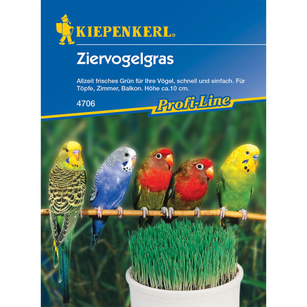 Ziervogelgras