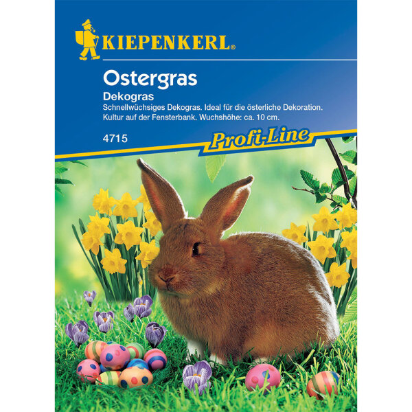 Ostergras - Dekogras