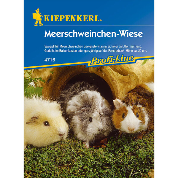 Meerschweinchenwiese