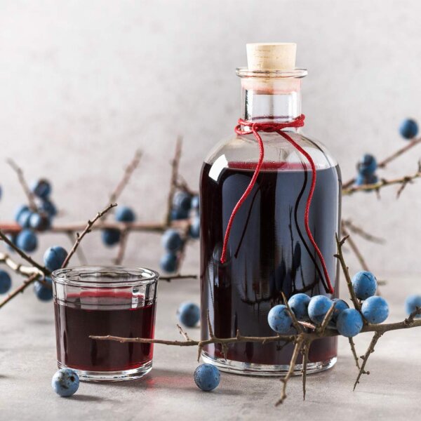 Schlehdorn 60-80cm am Ballen