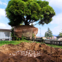 Lite Strips 25l Biologischer Wasserspeicher BIO5