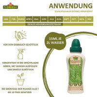 Schachtelhalm-Extrakt Konzentrat 500ml