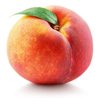 Pfirsich Mamie Ross Busch am Ballen