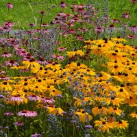 Sonnenbraut Rauchtopas P 1