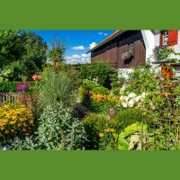 Sonnenbraut Rauchtopas P 1