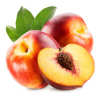 Nektarine Flavortop Busch im C7,5