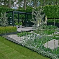 Hainbuche Spalier 120*120cm Hochstamm | 8-10cm Stammumfang im Co