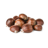 Esskastanie Marigoule Halbstamm im C12