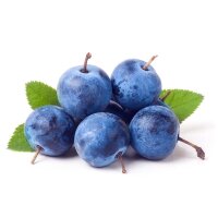 Steirisches Bachkriecherl Halbstamm C10